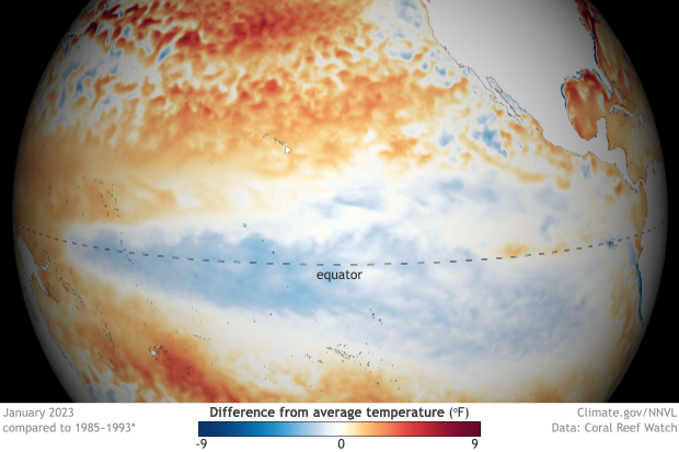 Globe-style map of sea surface temperature patterns January 2023.